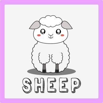 zwierzęta po angielsku ćwiczenie owca
