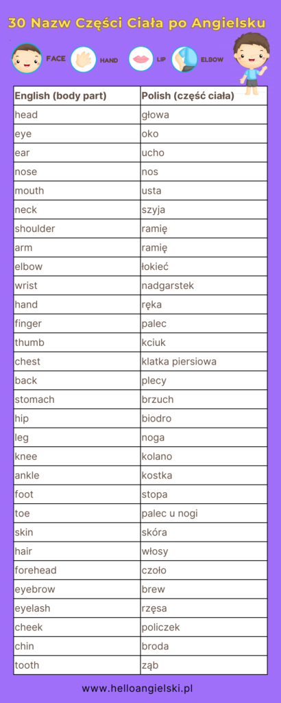 30 nazw części ciała po angielsku